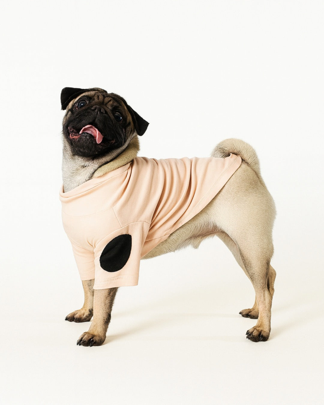 Pug wearing a light pink - Mascotas High-Neck Shirt for dog 