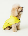 Load image into Gallery viewer, Small dog wearing a yellow raincoat - Rainy Shield designer dog Jacket 
