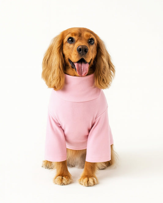 cotton dog shirts - Mascotas