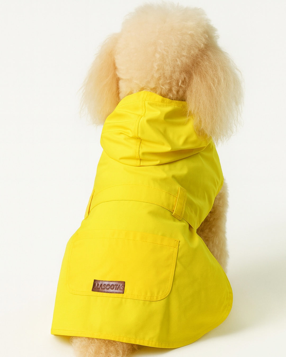 Dog wearing a yellow raincoat with a brand label  - mascotas designer urban jacket for dog 