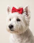 Load image into Gallery viewer, Ruby Red Dog Hair Bow
