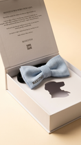 Load image into Gallery viewer, Baby Blue Dog Hair Bow
