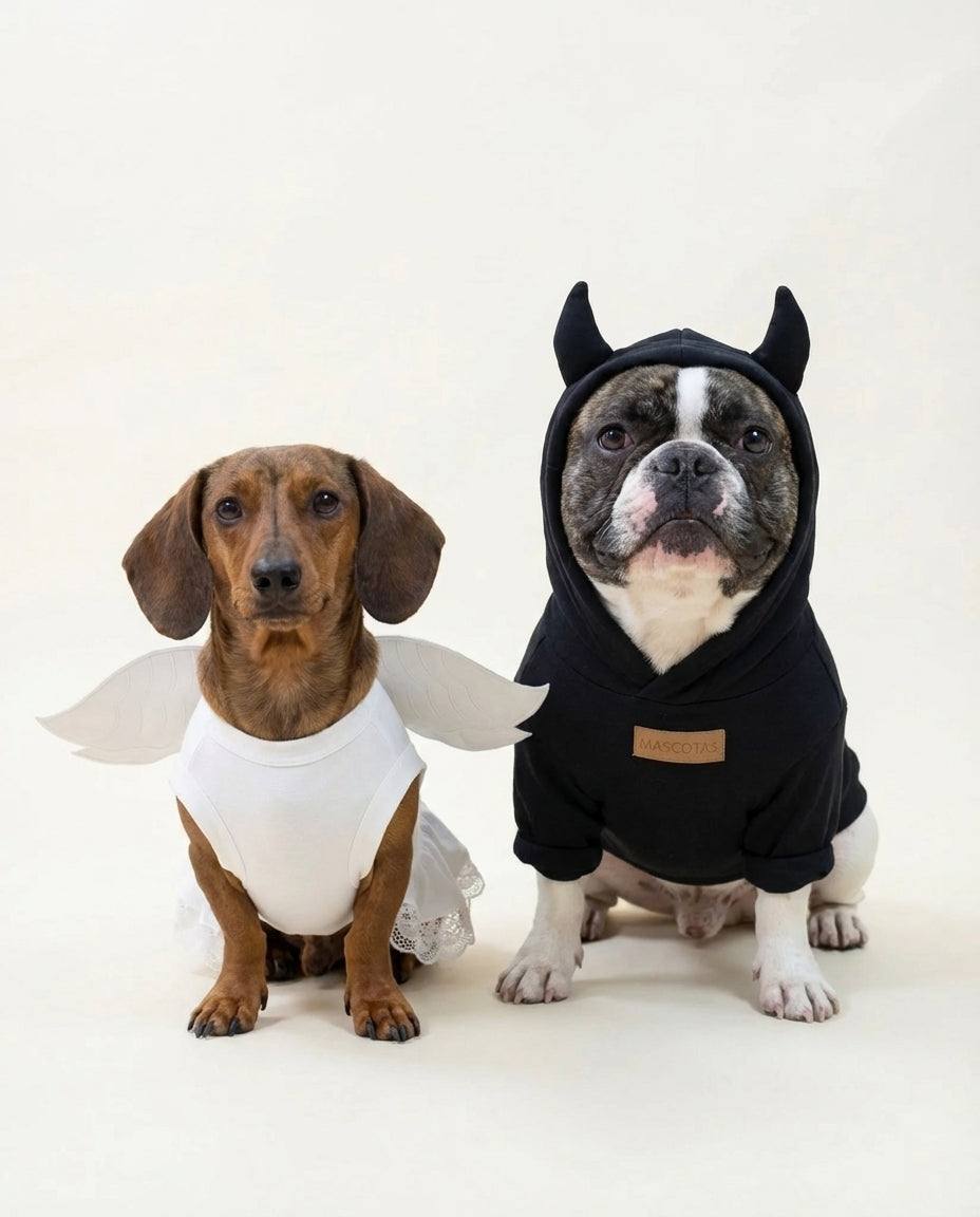 Two dogs, one in an angel costume and the other in a black hoodie with bat ears, on a white background.