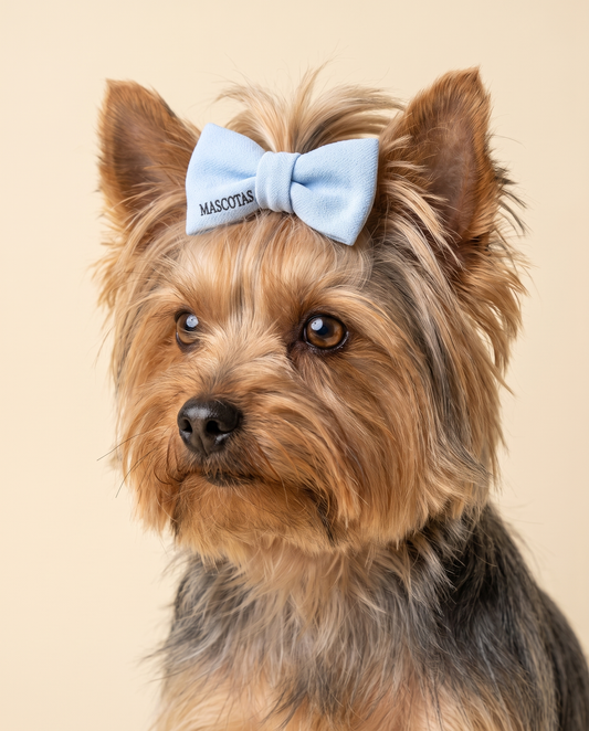 Baby Blue Dog Hair Bow