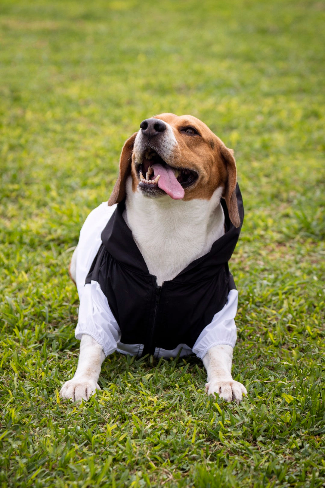 Urban Jacket