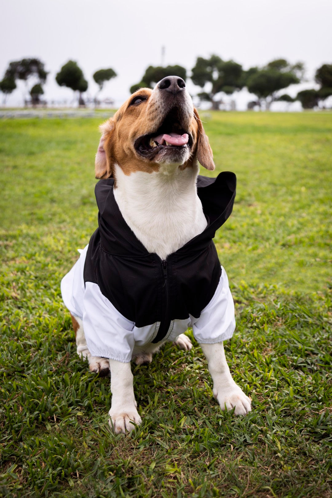 Urban Jacket