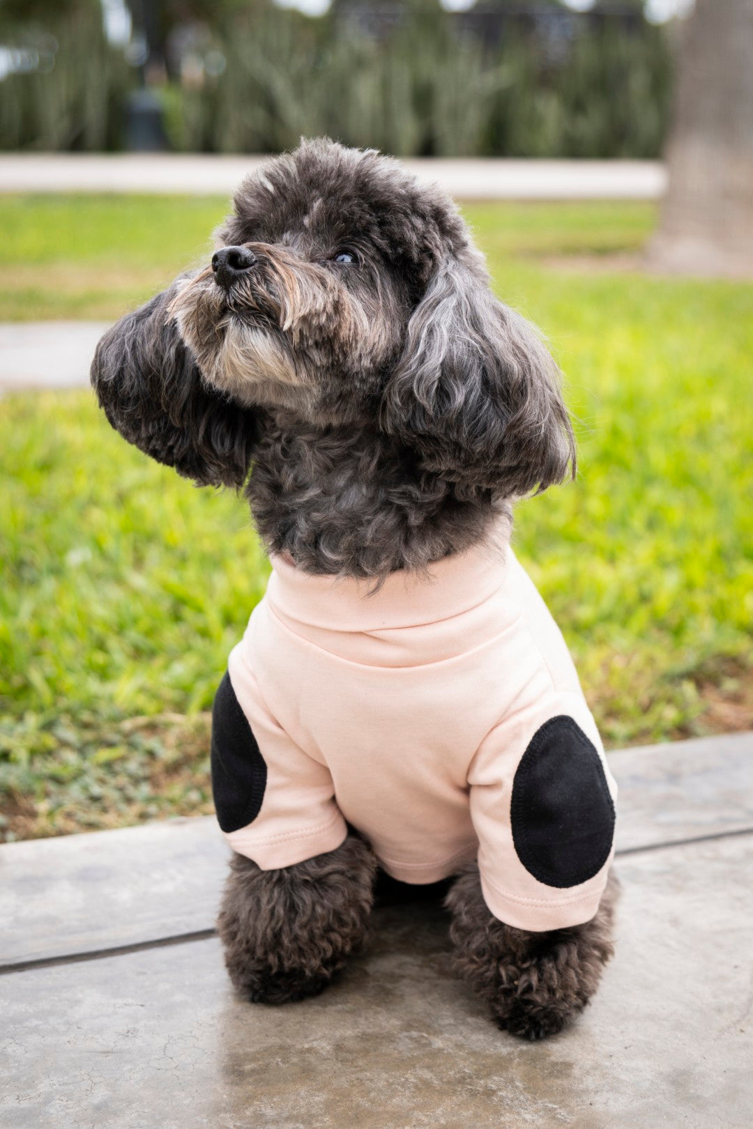 Original High-Neck Shirt