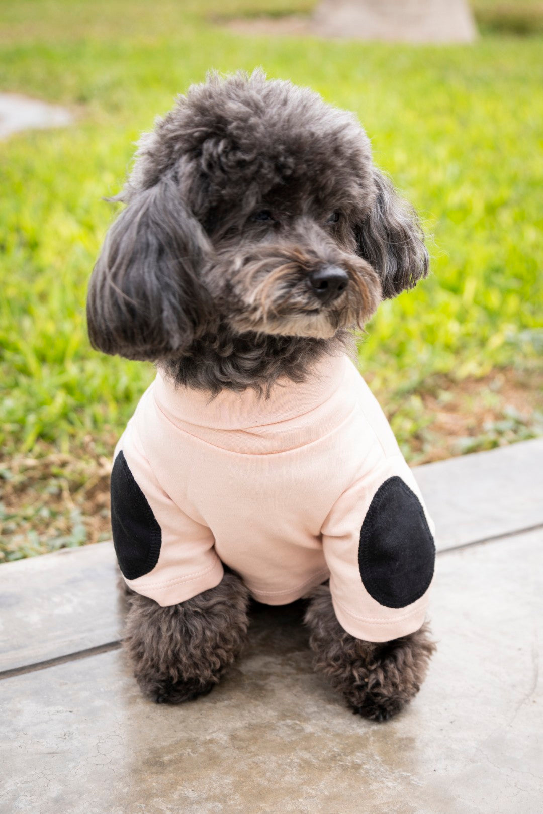Original High-Neck Shirt