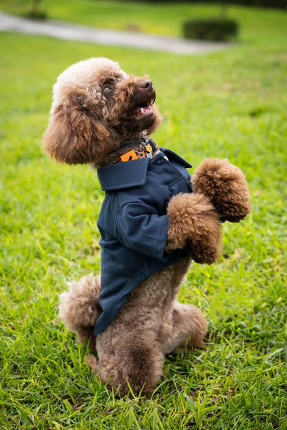 Timeless Pique Polo