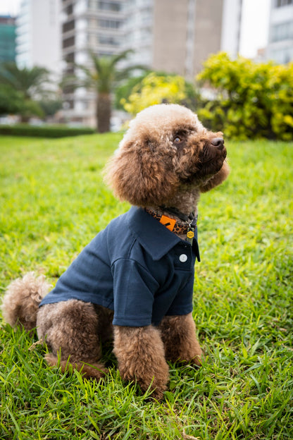 Timeless Pique Polo