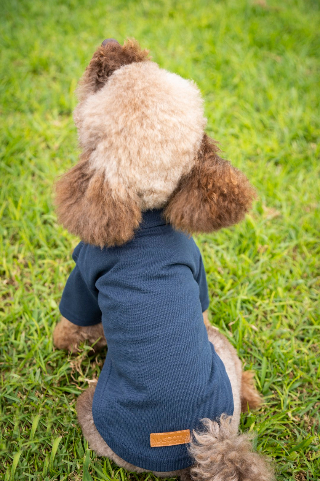 Timeless Pique Polo