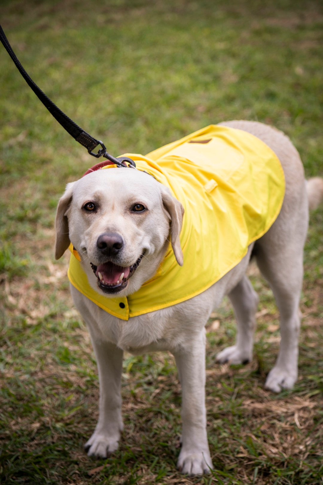 Rainy Shield Jacket