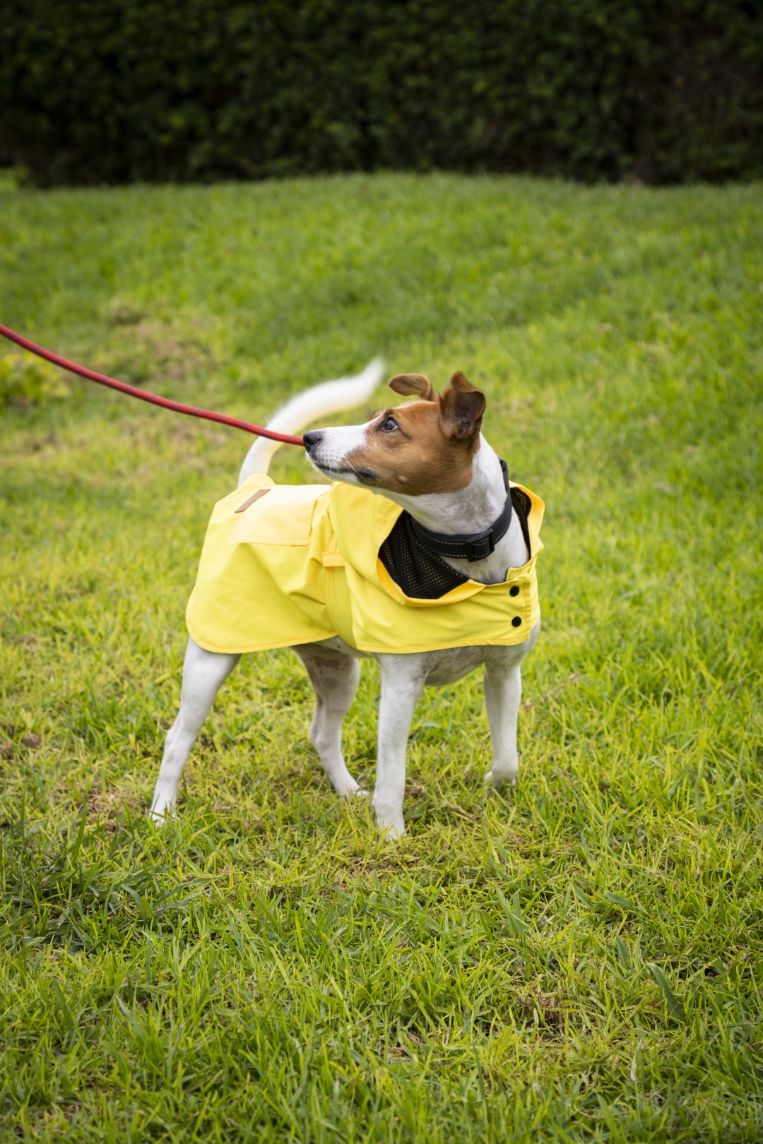 Rainy Shield Jacket