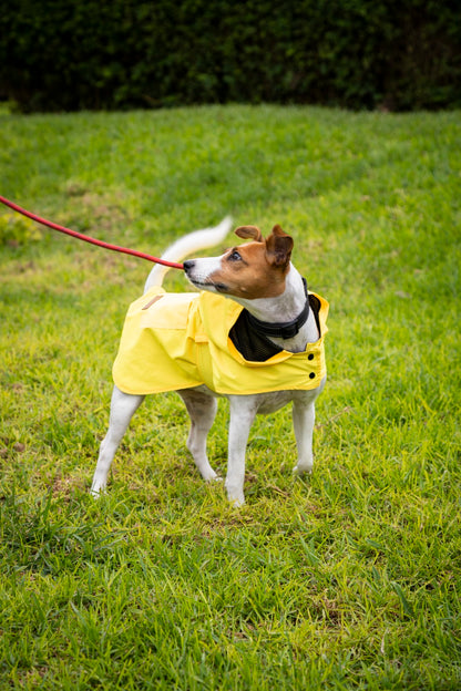 Rainy Shield Jacket