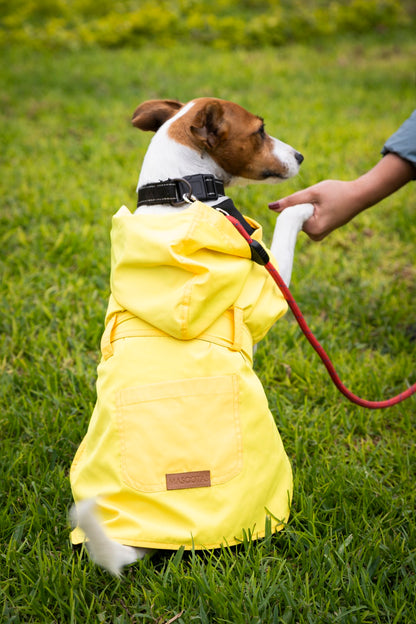 Rainy Shield Jacket