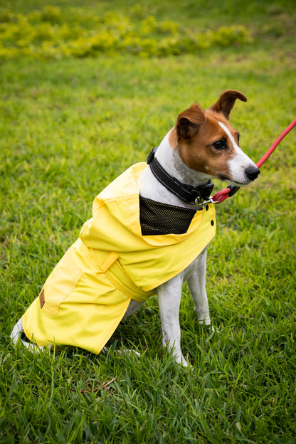 Rainy Shield Jacket