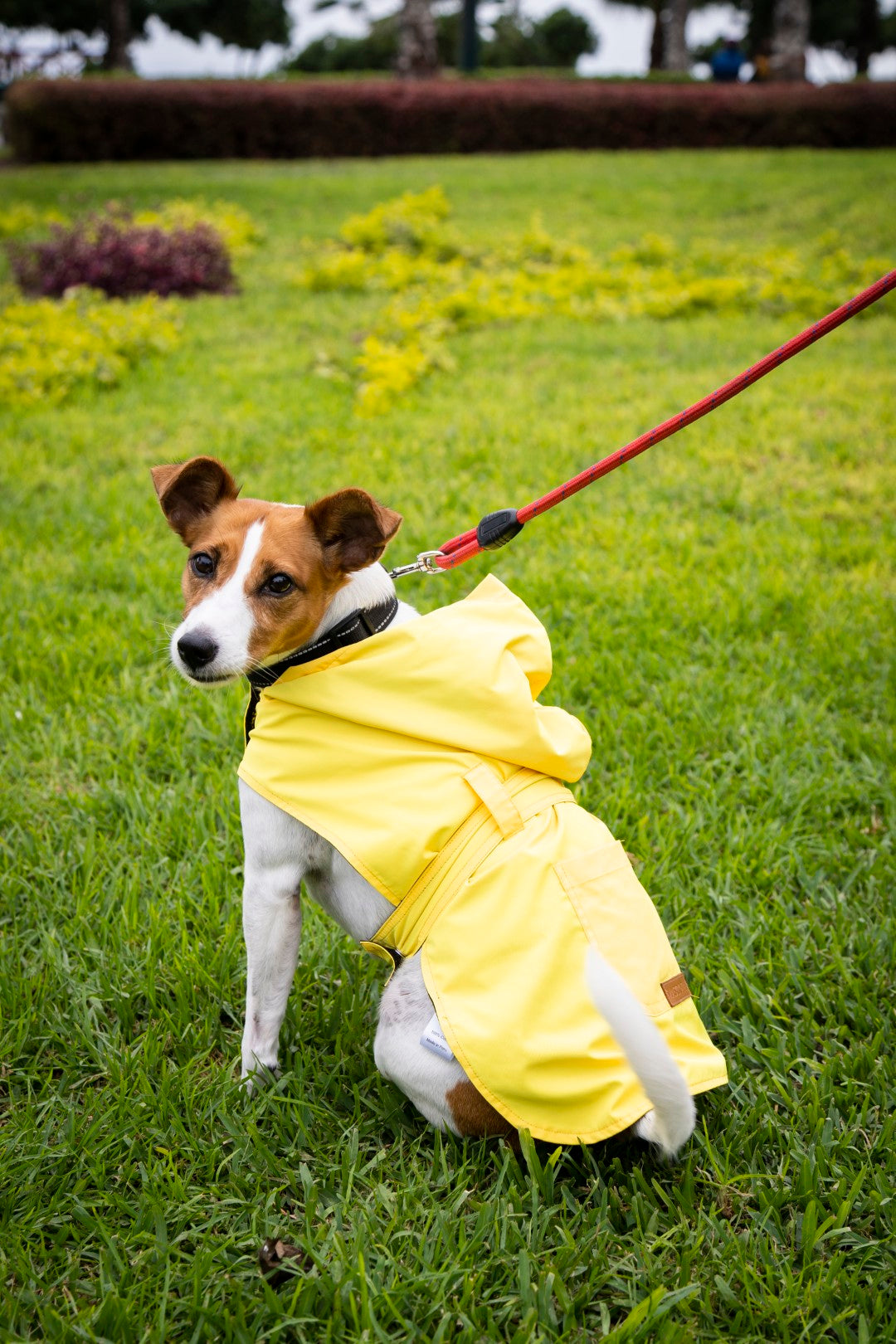 Rainy Shield Jacket