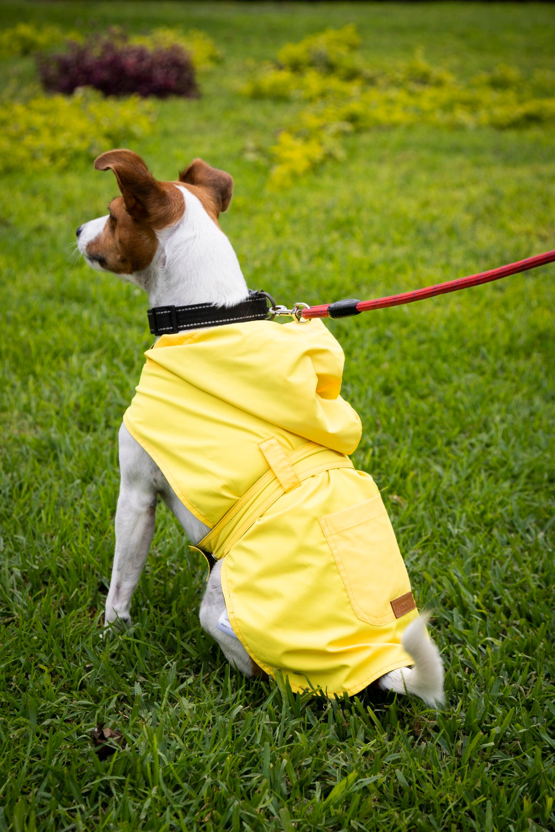 Rainy Shield Jacket