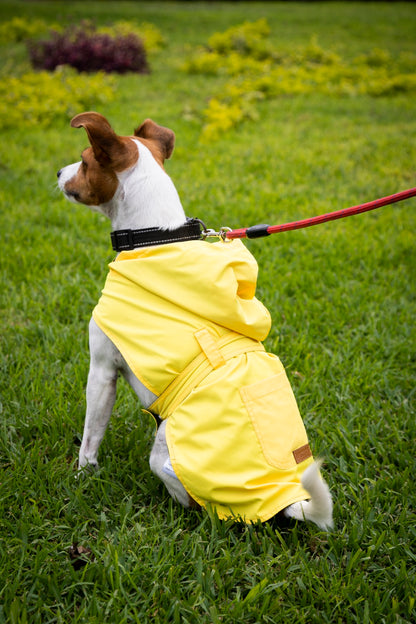 Rainy Shield Jacket