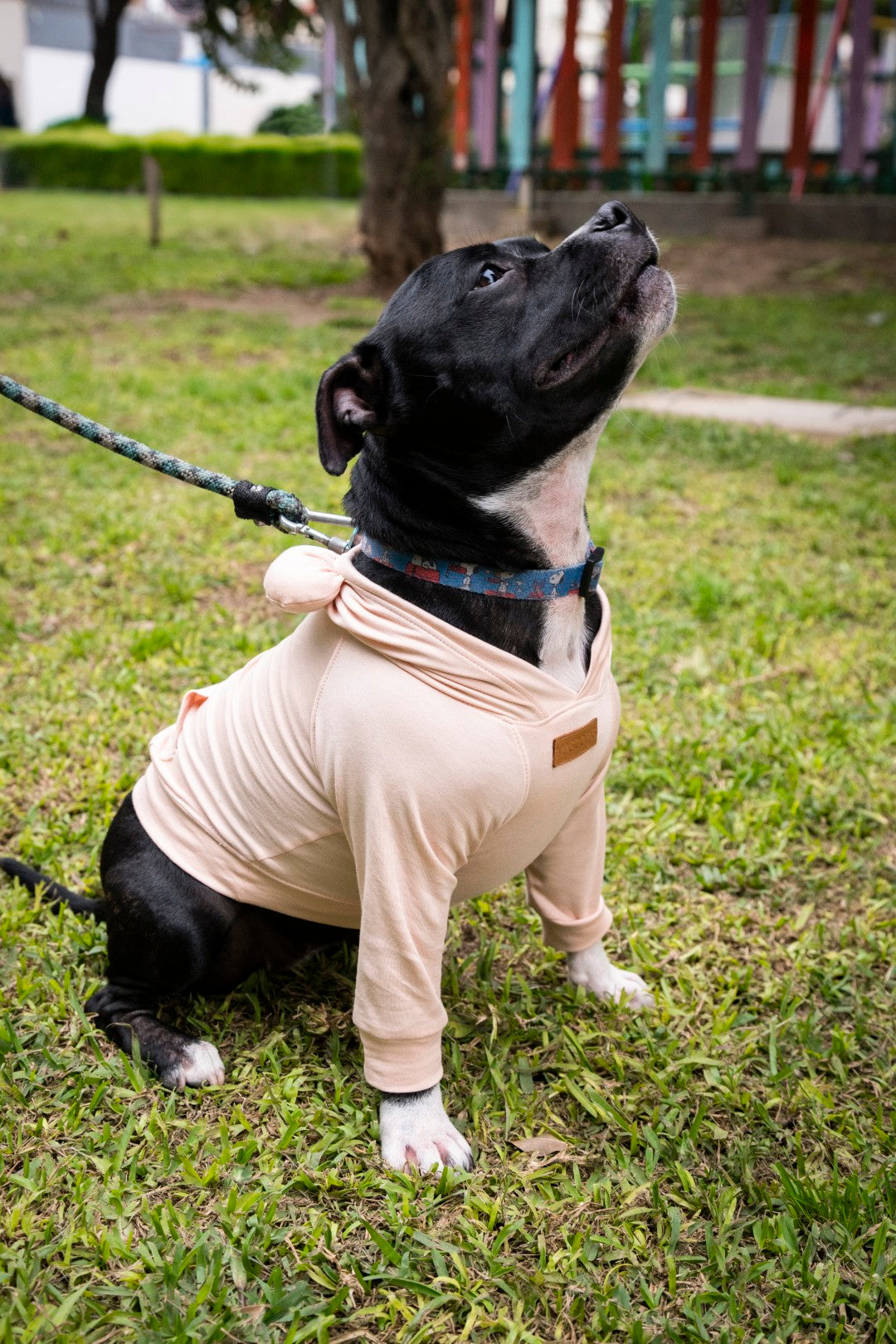Snuggle Snitch Hoodie