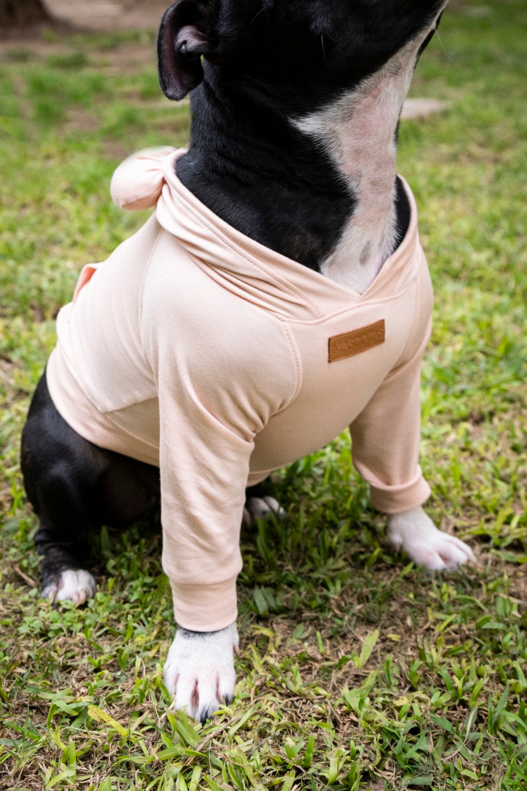Snuggle Snitch Hoodie