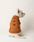 Load image into Gallery viewer, Dog wearing a brown sweater with red strawberry patterns on a white background
