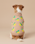Load image into Gallery viewer, Lemon Cream Knit - Baby Alpaca Dog Sweater
