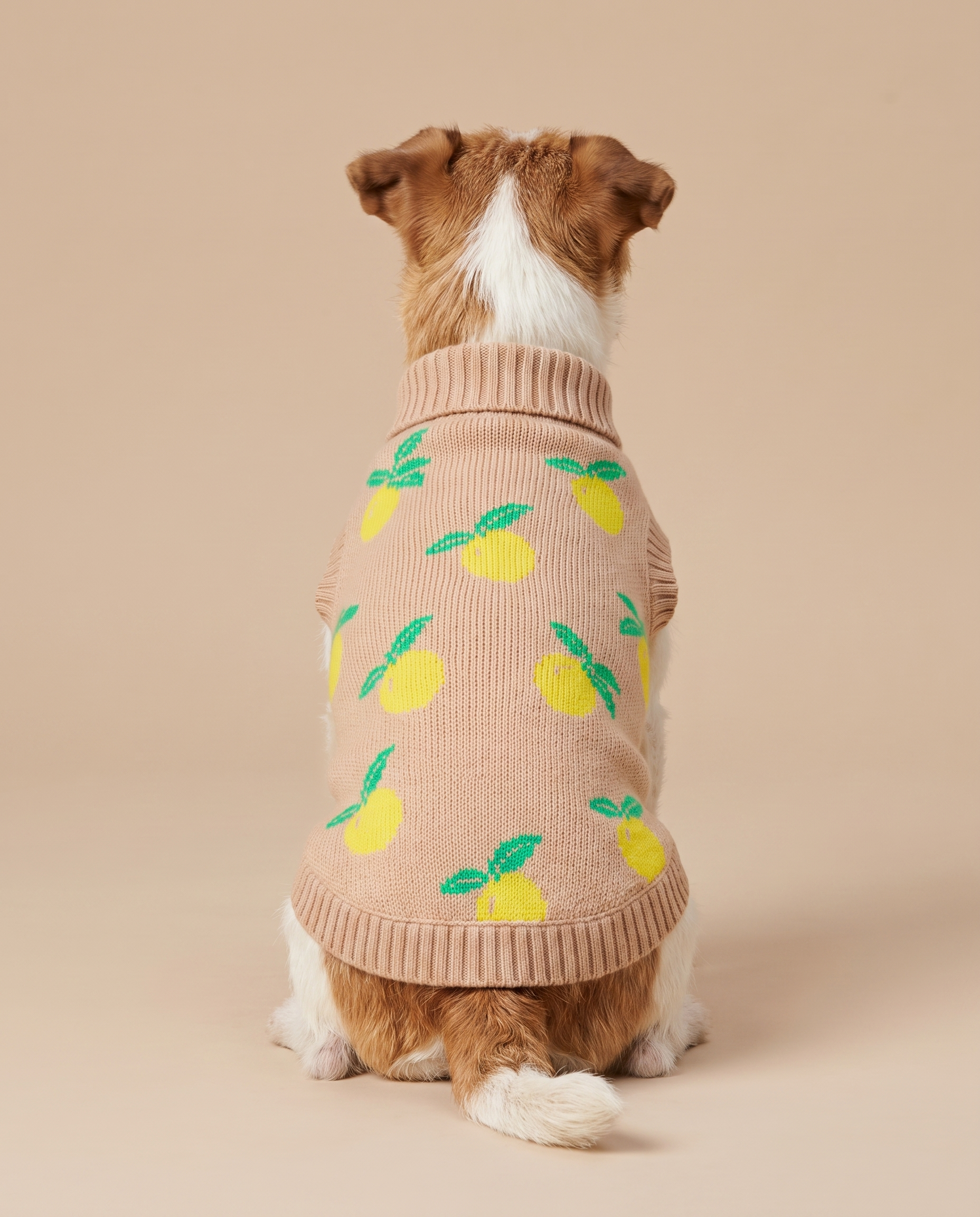Lemon Cream Knit - Baby Alpaca Dog Sweater