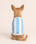 Load image into Gallery viewer, Argentina Champion Jersey
