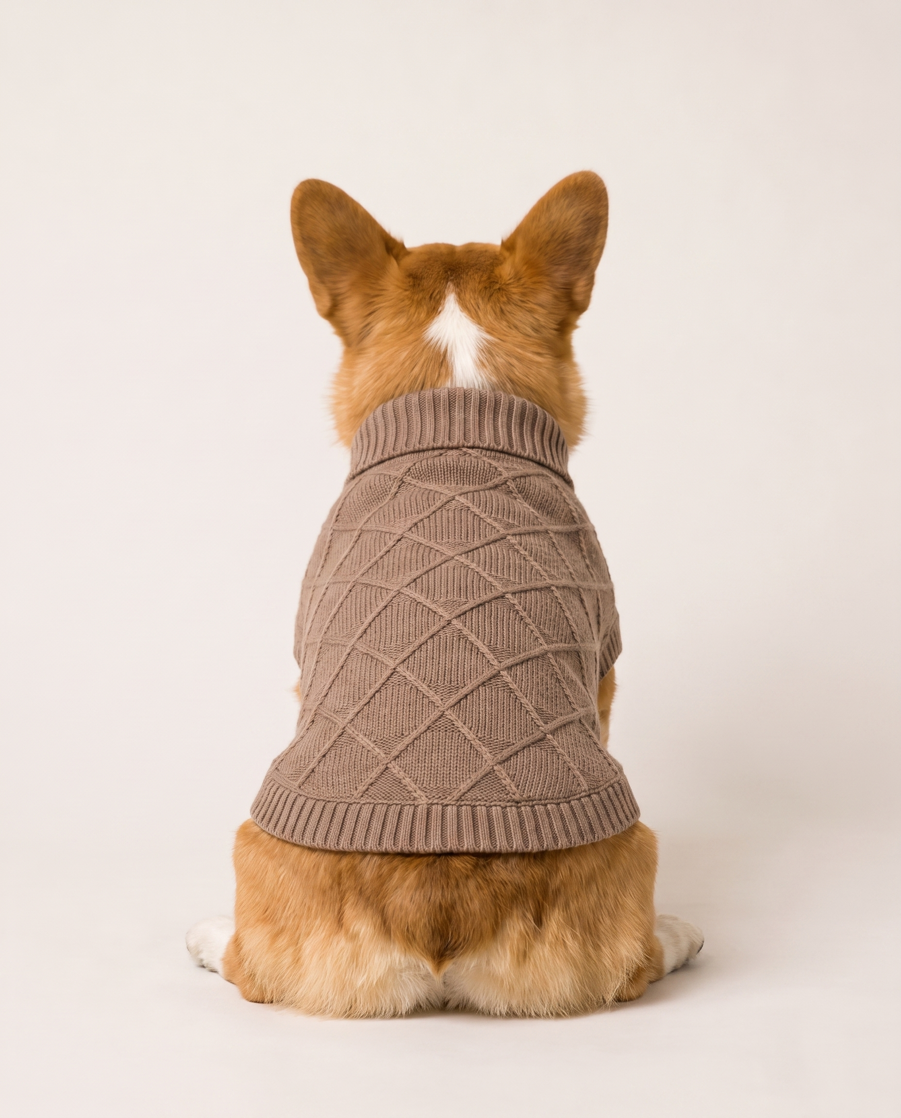 Mocha Latte Knit - Baby Alpaca Dog Sweater