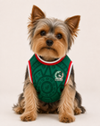 Corazón: Mexico Dog Jersey