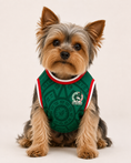 Load image into Gallery viewer, Mexico: Corazón
