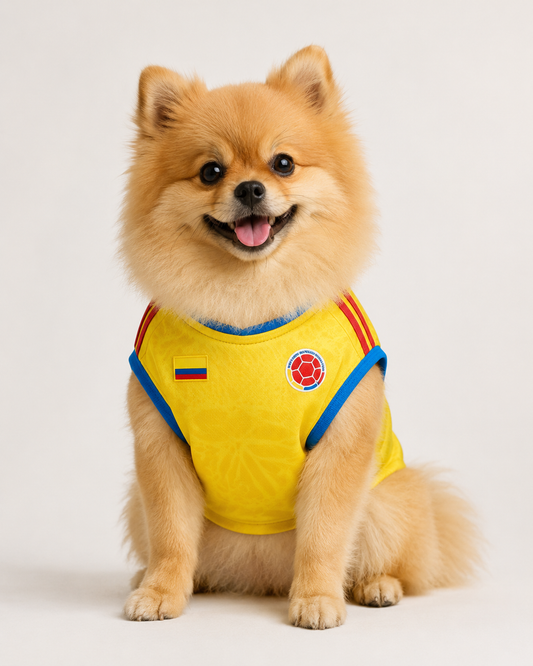 Oro: Colombia Dog Jersey