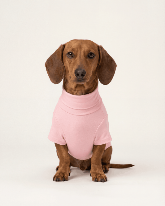 Best Buddy Shirt - Soft Cotton Dog Wear