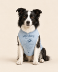 Load image into Gallery viewer, Aquarius Zodiac Pima Cotton Dog Shirt
