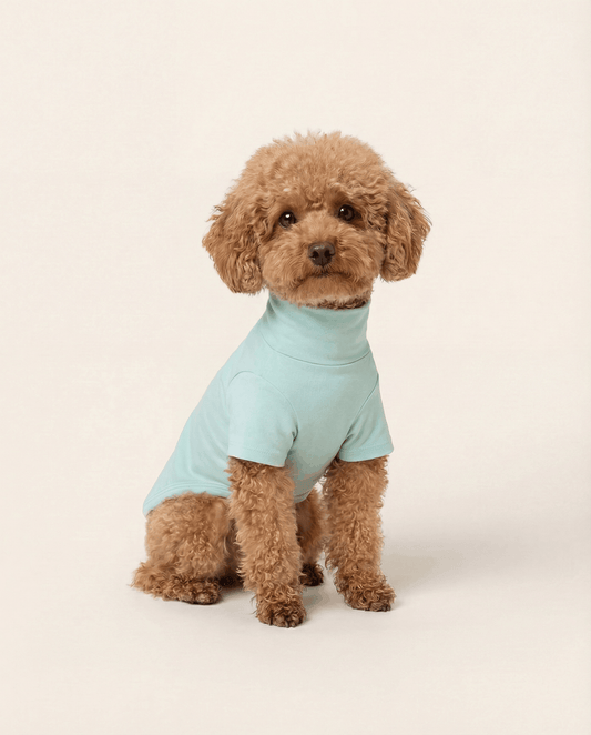 Best Buddy Shirt - Soft Cotton Dog Wear