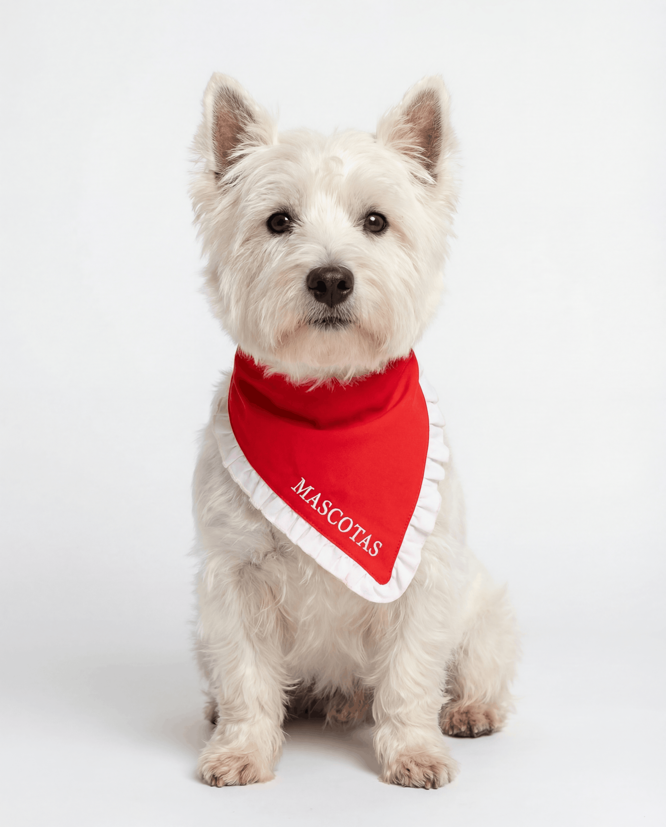 White dog wearing a red bandana with 'MASCOTAS' on a white background