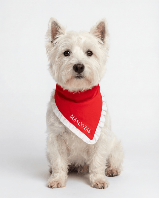 White dog wearing a red bandana with 'MASCOTAS' on a white background