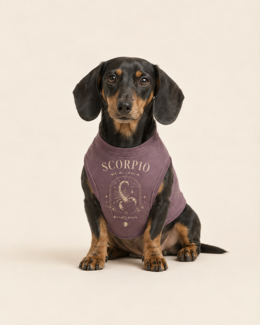 Scorpio Zodiac Pima Cotton Dog Shirt
