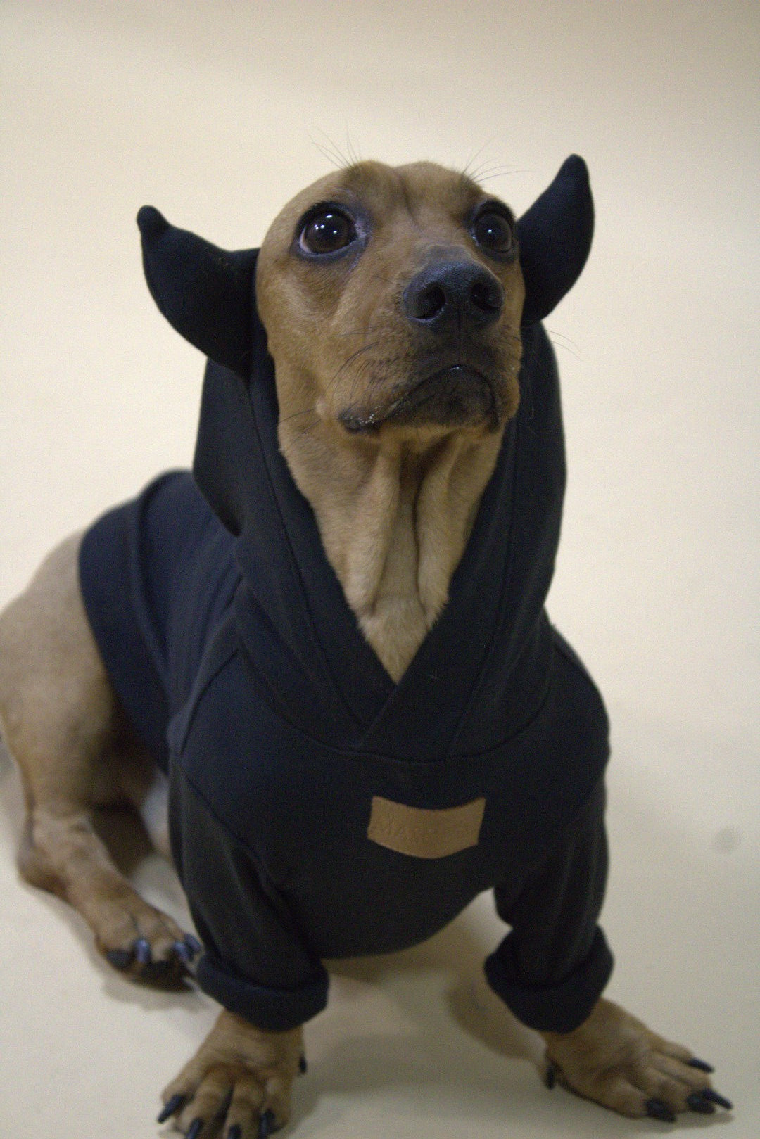 Halloween Gangsta