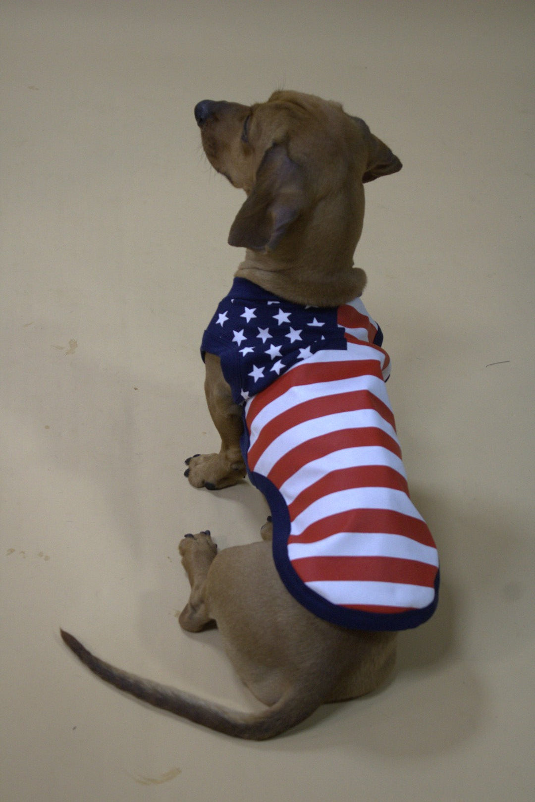 USA Support Team