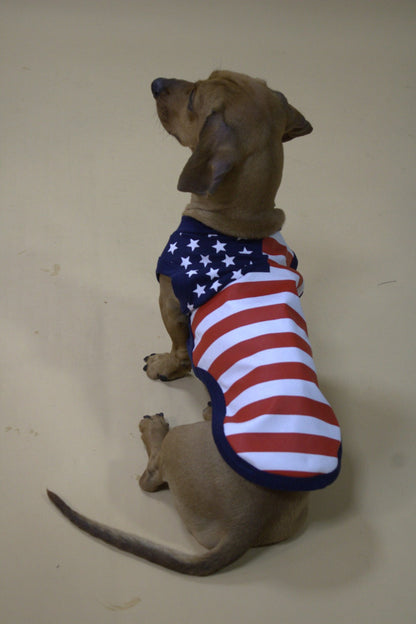 USA Support Team