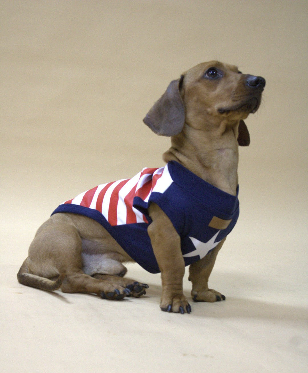 USA Support Team