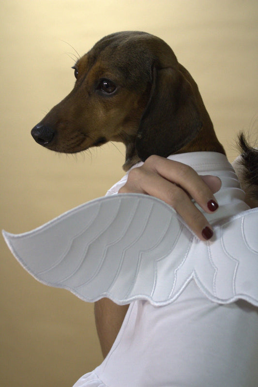Halloween Angel