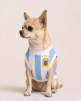 Load image into Gallery viewer, Argentina Champion Jersey
