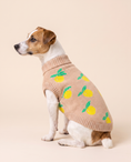Load image into Gallery viewer, Lemon Cream Knit - Baby Alpaca Dog Sweater
