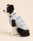 Load image into Gallery viewer, Aquarius Zodiac Pima Cotton Dog Shirt
