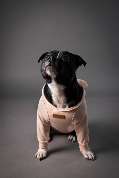 Snuggle Snitch Hoodie