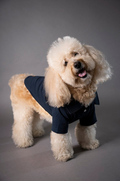 Timeless Pique Polo