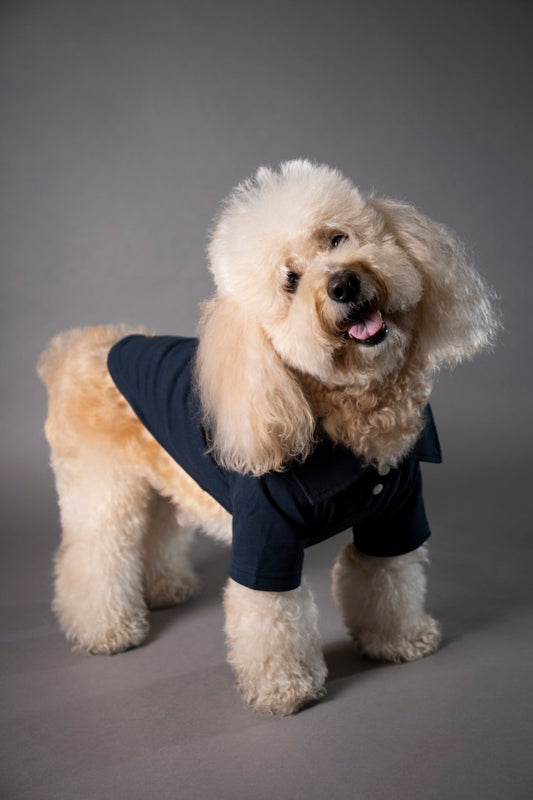 Timeless Pique Polo